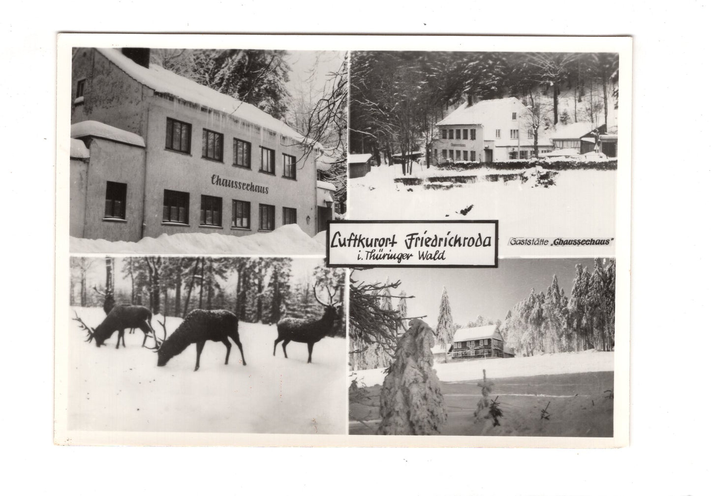 Ansichtskarte Friedrichroda im Thüringer Wald  / I1-58