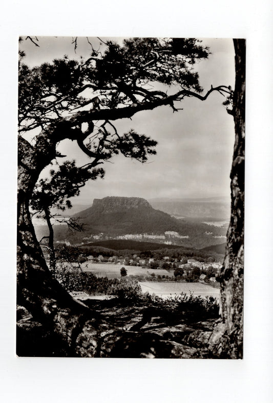 Ansichtskarte Gohrisch / mit Lilienstein / Sächsische Schweiz