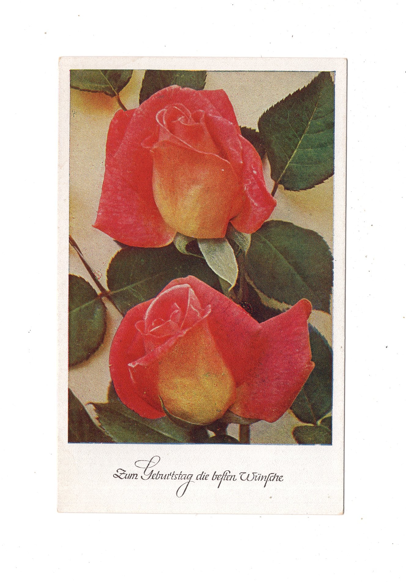 Ansichtskarte Glückwünsche / Glückwunsch zum Geburtstag / L1-61