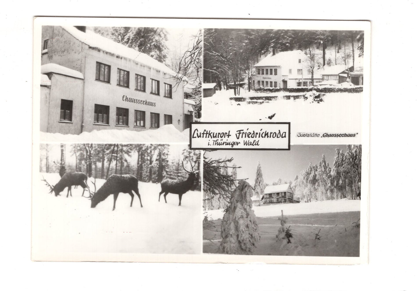 Ansichtskarte Friedrichroda im Thüringer Wald  / I1-58