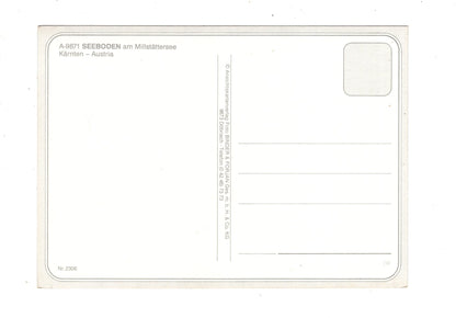 Ansichtskarte Seeboden am Millstätter See / Kärnten / Österreich / N1-69