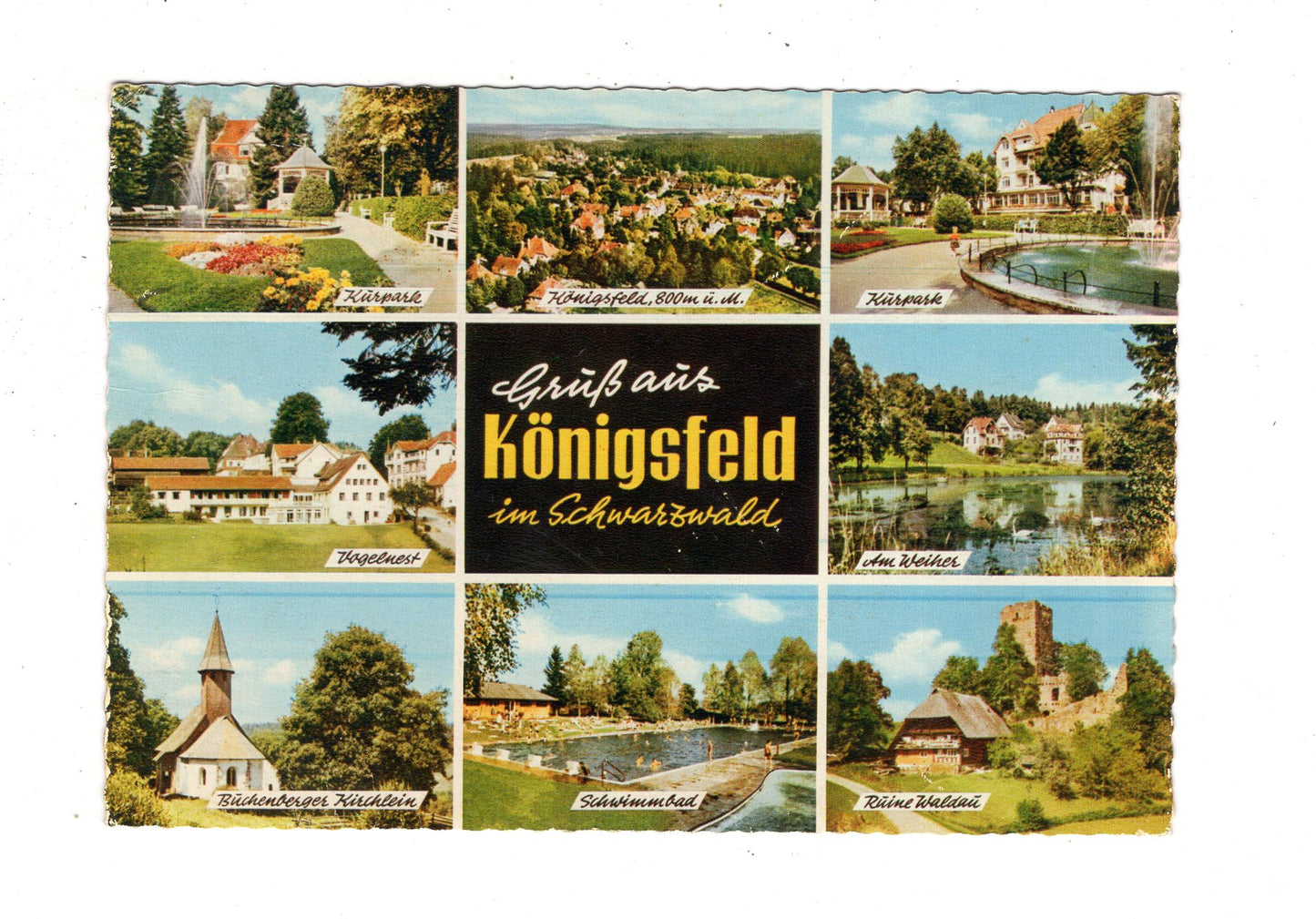 Ansichtskarte Königsfeld im Schwarzwald / Vogelnest +++ / J1-70