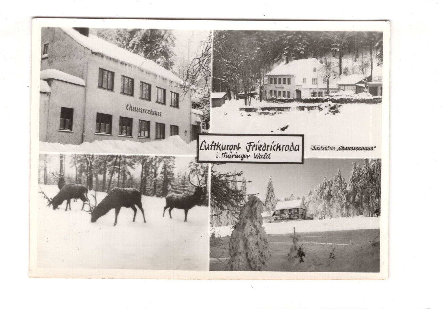 Ansichtskarte Friedrichroda im Thüringer Wald  / I1-58