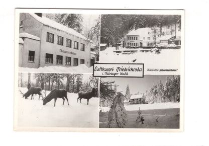 Ansichtskarte Friedrichroda im Thüringer Wald  / I1-58
