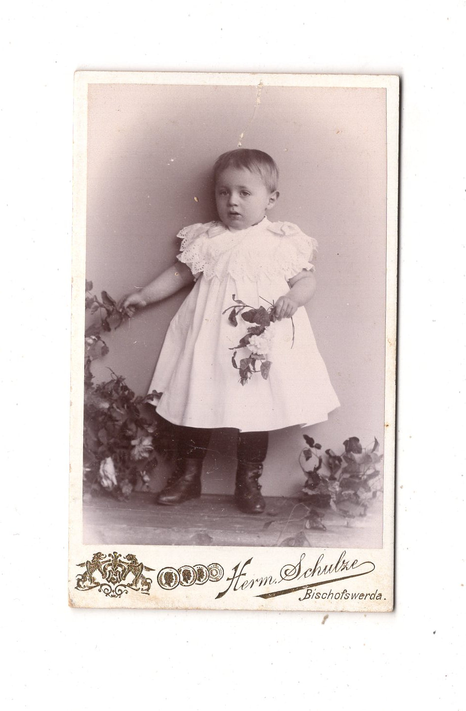 Fotografie Niedliches kleines Kind - Bischofswerda 1890er / CDV M1-32