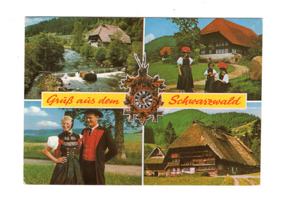 Ansichtskarte Gruß aus dem Schwarzwald / G1-63