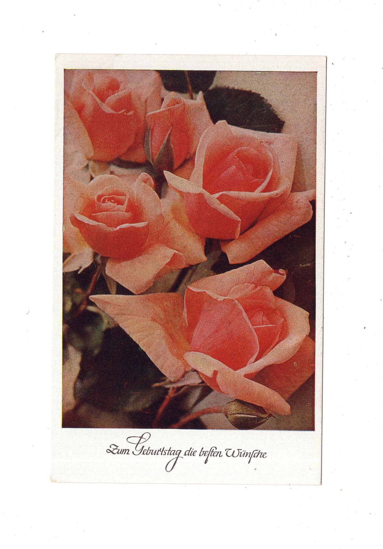 Ansichtskarte Glückwünsche / Glückwunsch zum Geburtstag / L1-61