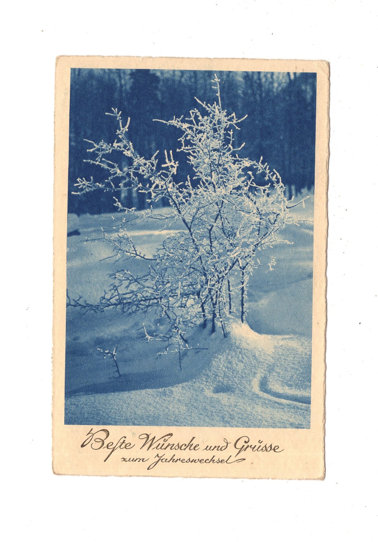 Ansichtskarte Feiertage / Frohe Weihnachten / K1-65