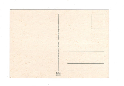 Ansichtskarte Heidelberg am Neckar / L1-70