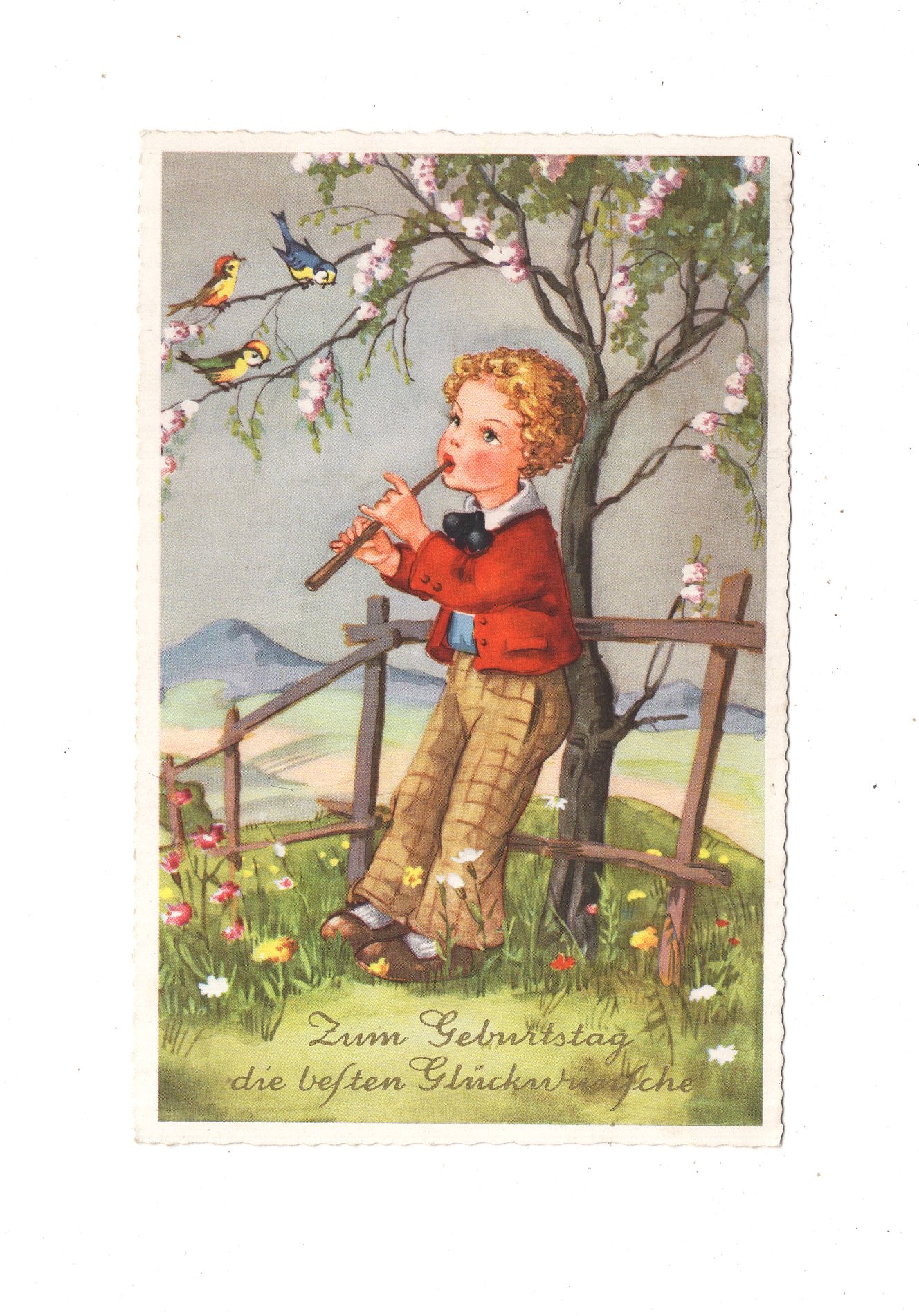 Ansichtskarte Glückwünsche / Glückwunsch zum Geburtstag / L1-61