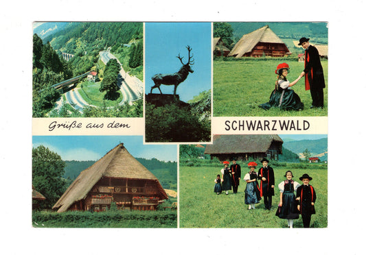 Ansichtskarte Grüße aus dem Schwarzwald / G1-63