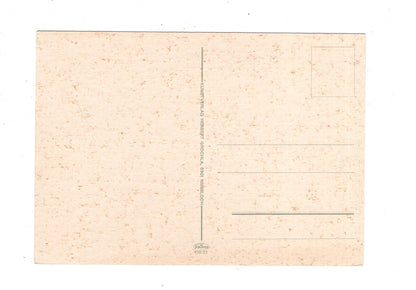 Ansichtskarte Heidelberg am Neckar / L1-70