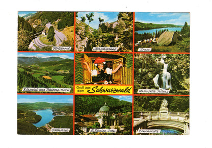 Ansichtskarte Gruß aus dem Schwarzwald / G1-63
