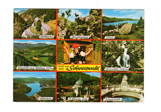 Ansichtskarte Gruß aus dem Schwarzwald / G1-63