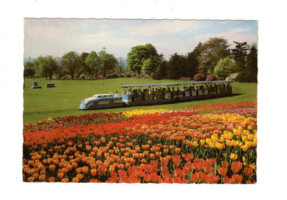 Ansichtskarte Westfalenpark Dortmund / J1-54