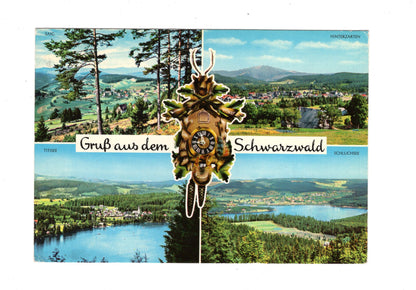 Ansichtskarte Gruß aus dem Schwarzwald / G1-63