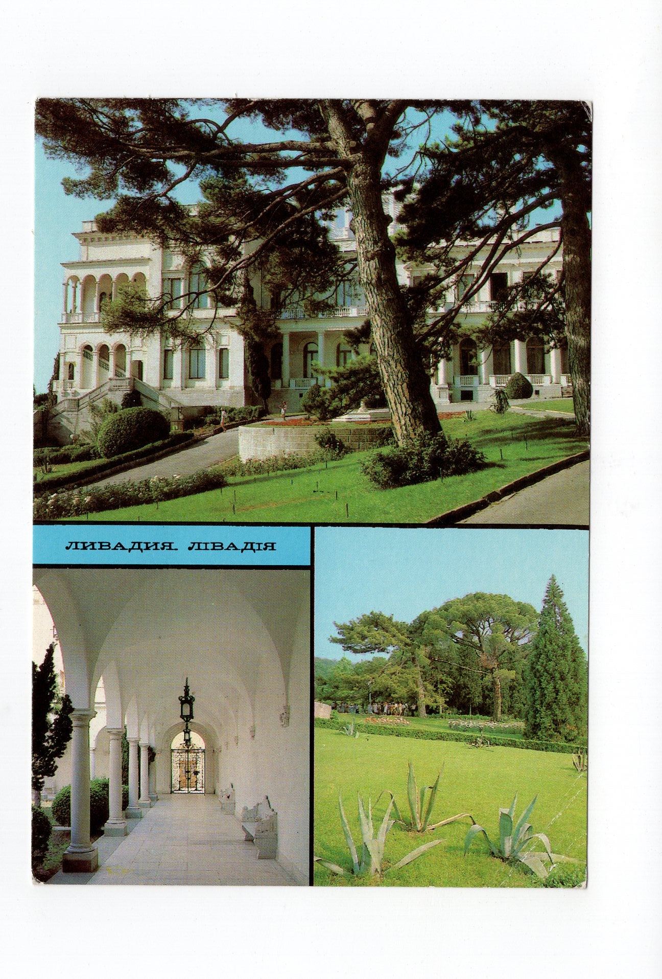 Ansichtskarte Jalta / Krim / Russland / UdSSR