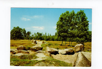 Ansichtskarte Wildeshauser Geest / Großsteingräber