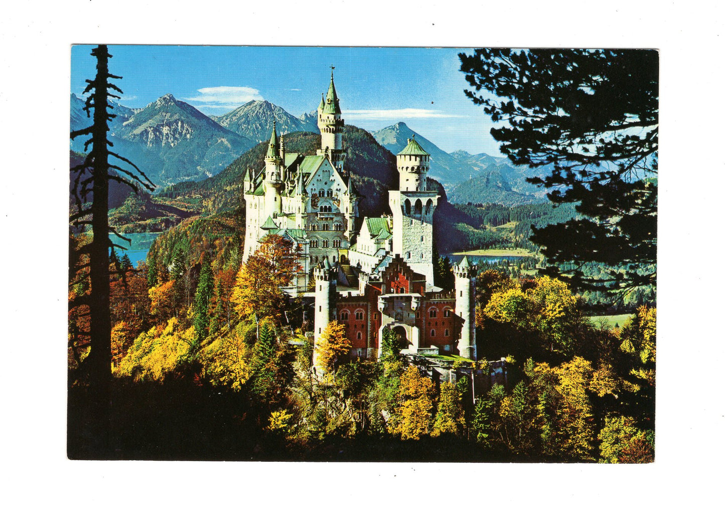 Ansichtskarte Königsschloss Neuschwanstein / Bayerische Alpen