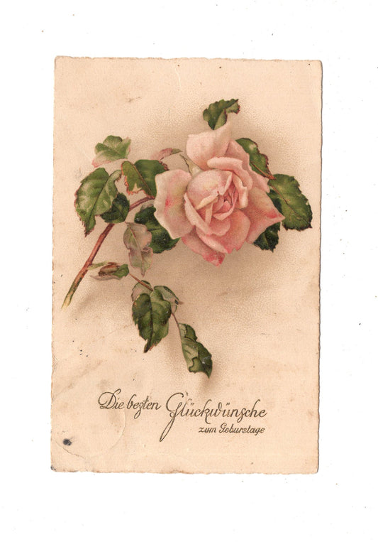 Ansichtskarte Glückwünsche / Glückwunsch zum Geburtstag / L1-61