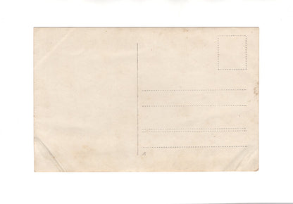 Ansichtskarte / Foto Schönes Familienbild mit Hund