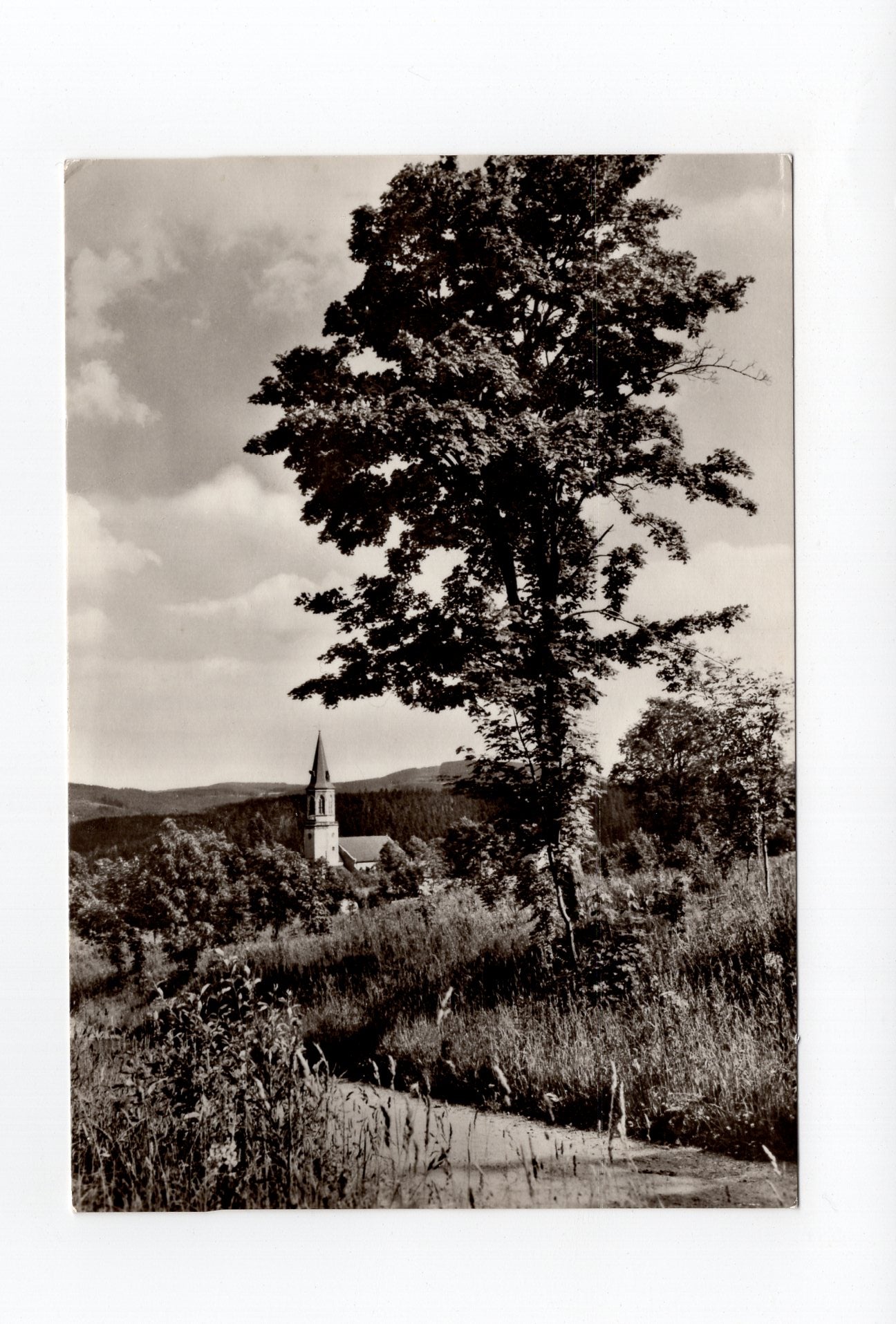 Ansichtskarte Johanngeorgenstadt / Erzgebirge