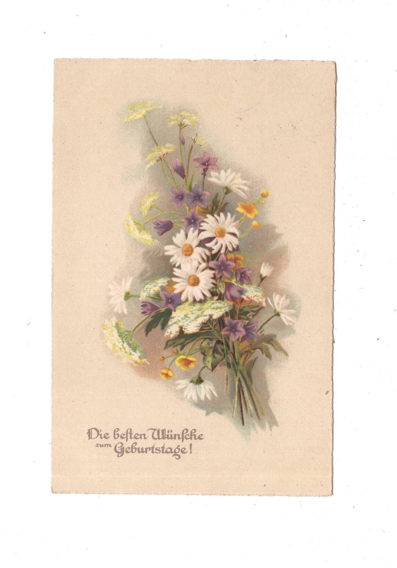 Ansichtskarte Glückwünsche / Glückwunsch zum Geburtstag / L1-61