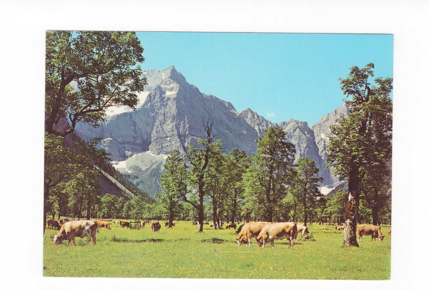 Ansichtskarte Ahornboden im Karwendel / Österreich