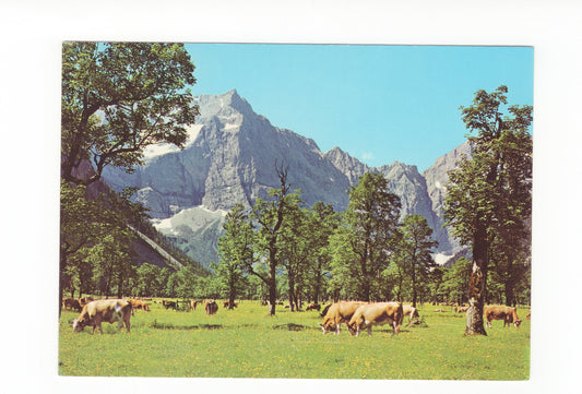 Ansichtskarte Ahornboden im Karwendel / Österreich