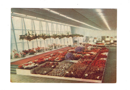 Ansichtskarte Internationale Gartenbauausstellung Erfurt / DDR 1966 / H1-60