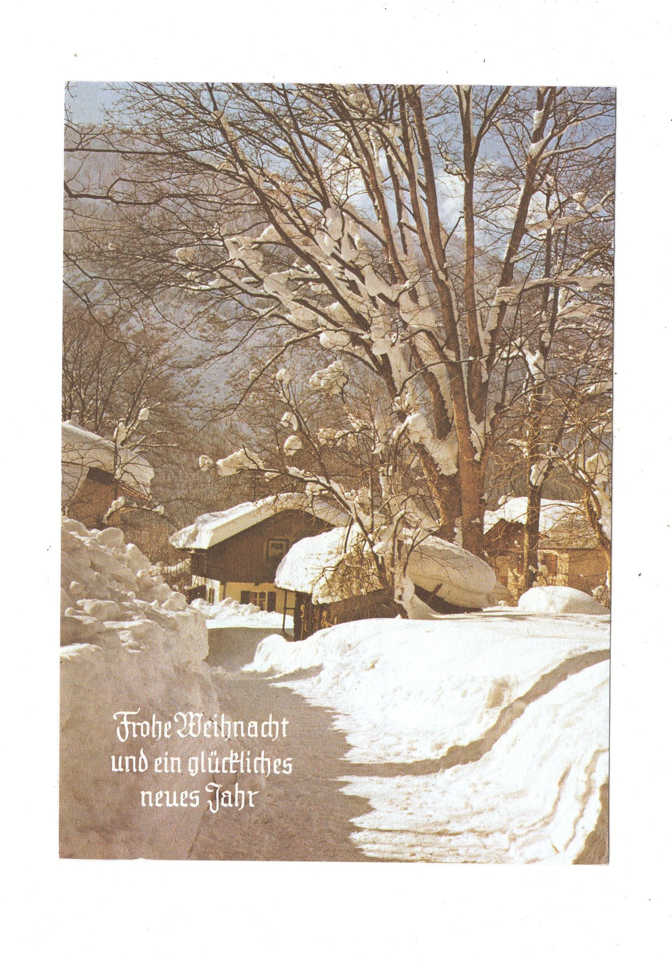 Ansichtskarte Feiertage / Frohe Weihnachten / K1-65