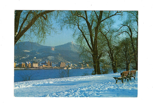 Ansichtskarte Partie am Rhein mit Drachenburg und Drachenfels