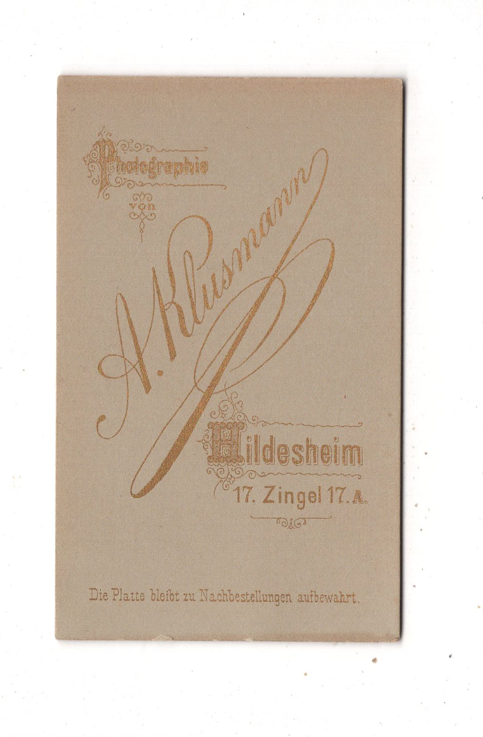 Fotografie Damenportrait - Hildesheim 1880er