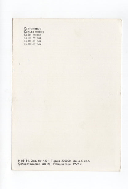 Ansichtskarte Kalta-minor / Usbekistan