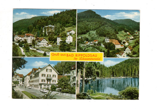 Ansichtskarte Bad Rippoldsau im Schwarzwald / K1-47