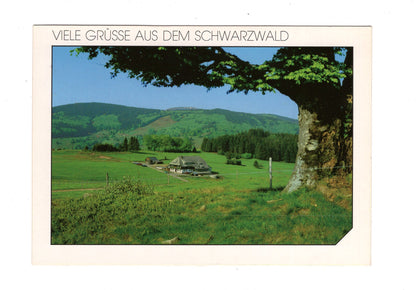 Ansichtskarte Viele Grüße aus dem Schwarzwald / G1-63