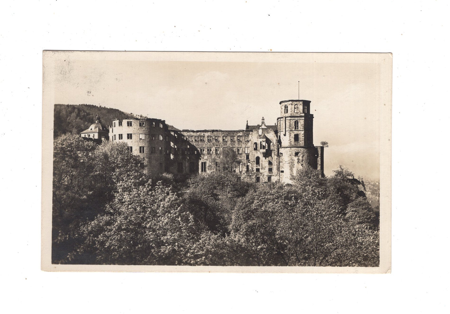 Ansichtskarte Heidelberg / Schloss von der Terrasse aus gesehen / M1-52