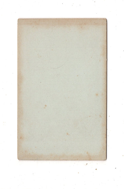 Fotografie Feine Dame - Hildesheim um 1880