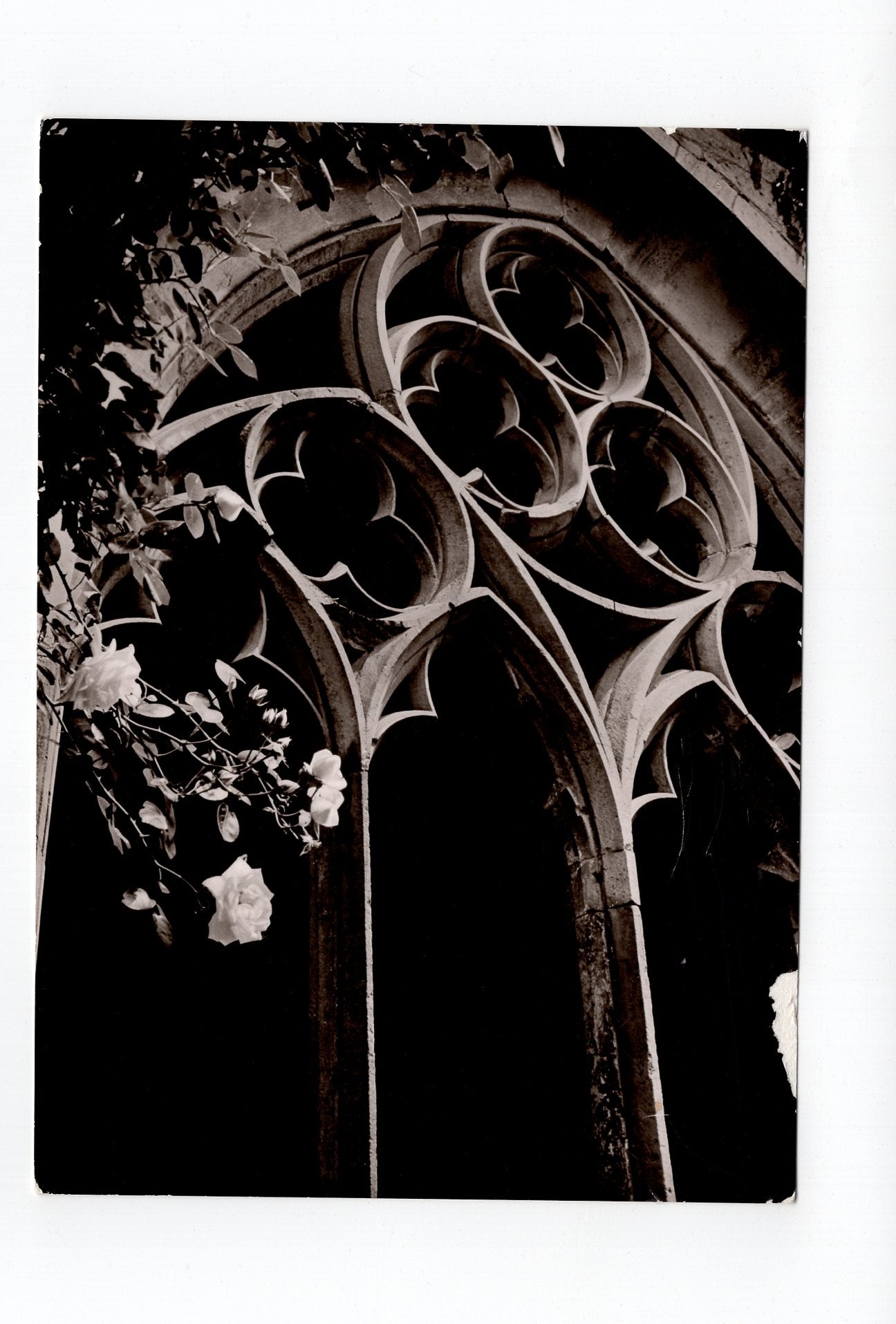 Ansichtskarte Kloster Maulbronn / Maßwerk im Kreuzgang