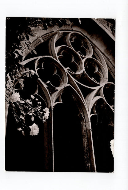 Ansichtskarte Kloster Maulbronn / Maßwerk im Kreuzgang