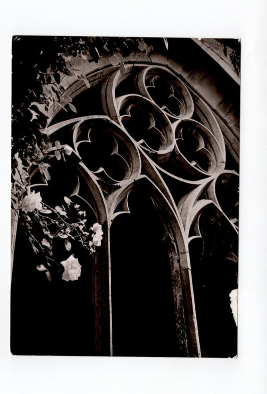 Ansichtskarte Kloster Maulbronn / Maßwerk im Kreuzgang