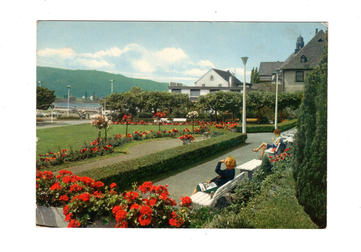 Ansichtskarte Bad Hönningen am Rhein / Rosengarten