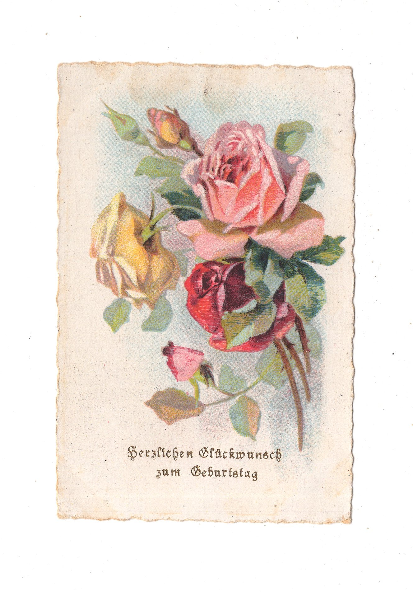 Ansichtskarte Glückwünsche / Glückwunsch zum Geburtstag / L1-62