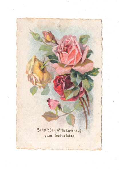 Ansichtskarte Glückwünsche / Glückwunsch zum Geburtstag / L1-62