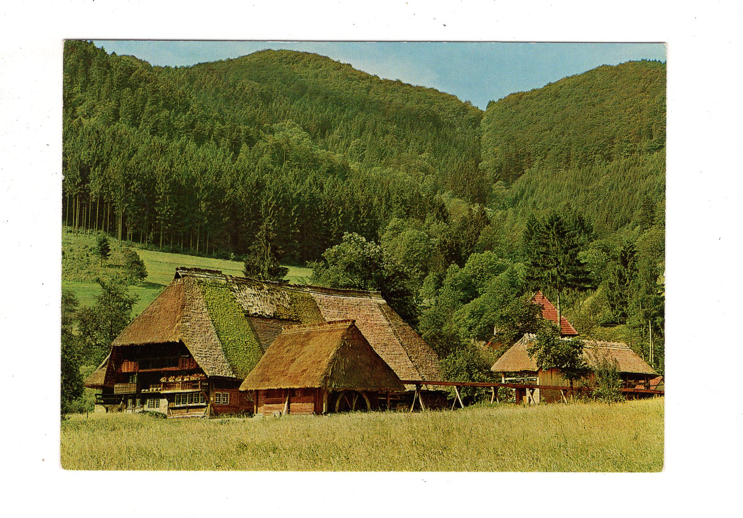 Ansichtskarte Gutach / Schwarzwälder Freilichtmuseum / K1-47