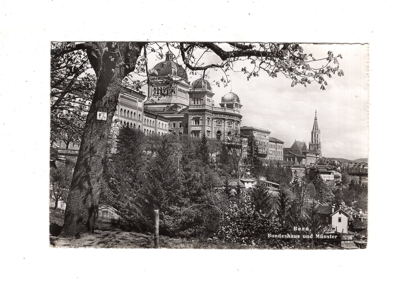 Ansichtskarte Bern / Bundeshaus und Münster / Schweiz