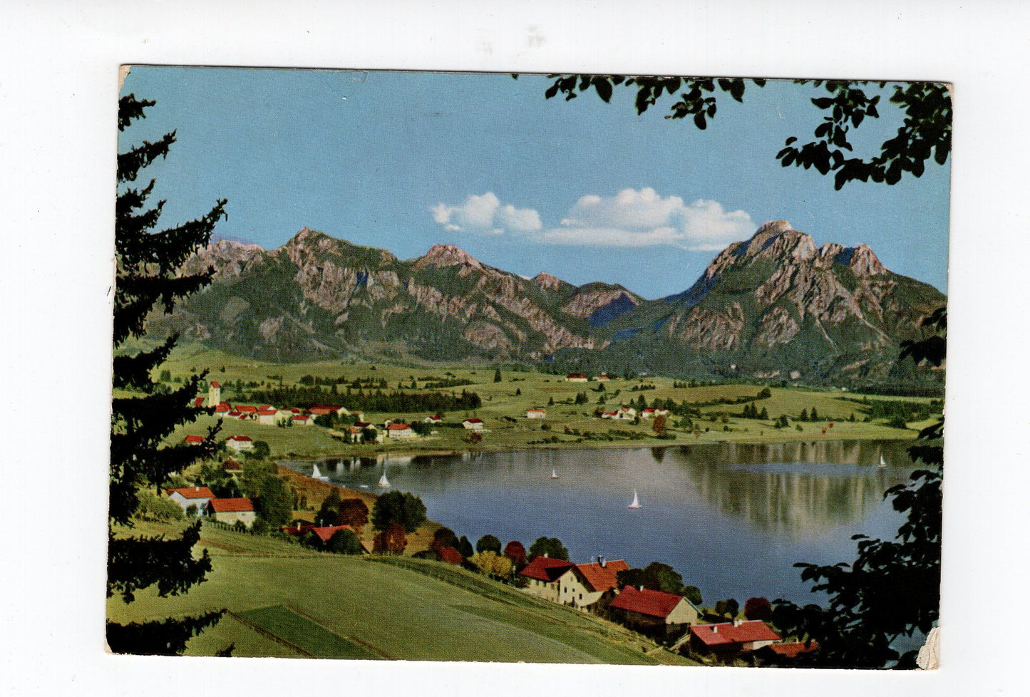 Ansichtskarte Hopfensee mit Branderschrofen +++