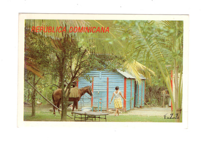 Ansichtskarte Campina Dominicana / Dominikanische Republik