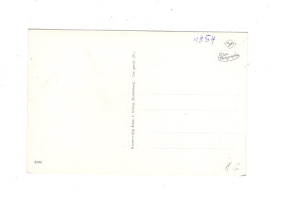 Ansichtskarte Heidelberg / Schloss und Stadt / M1-52