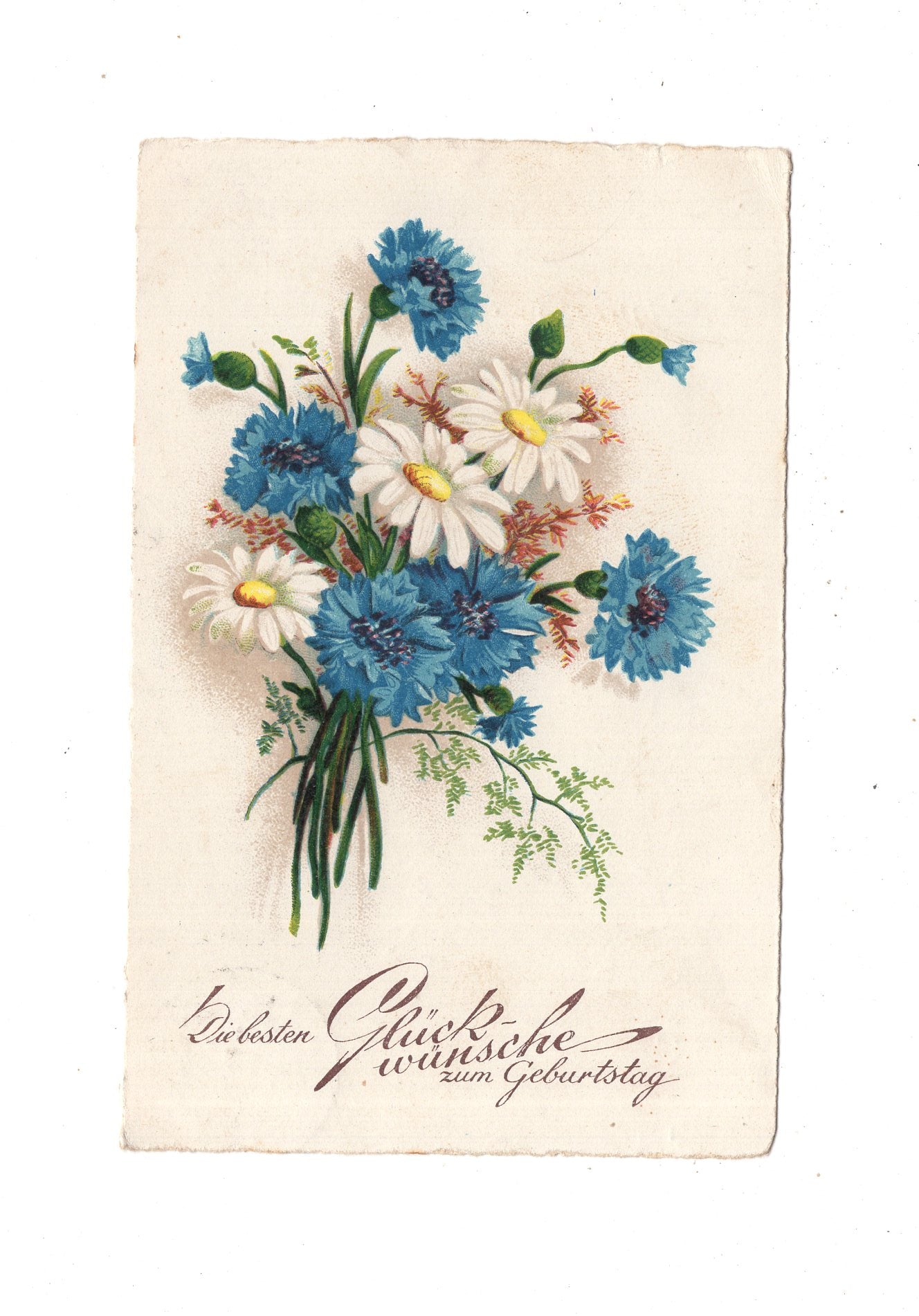 Ansichtskarte Glückwünsche / Glückwunsch zum Geburtstag / L1-62